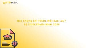 Học Chứng Chỉ TESOL Mất Bao Lâu? Lộ Trình Chuẩn Nhất 2026