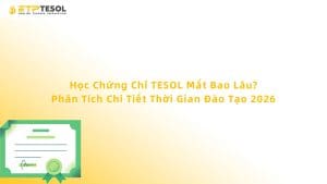 Học Chứng Chỉ TESOL Mất Bao Lâu? Phân Tích Chi Tiết Thời Gian Đào Tạo 2026