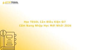 Học TESOL Cần Điều Kiện Gì? Cẩm Nang Nhập Học Mới Nhất 2026