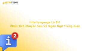 Interlanguage Là Gì? Phân Tích Chuyên Sâu Về Ngôn Ngữ Trung Gian