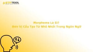 Morpheme là gì? Khám phá cấu trúc nhỏ nhất tạo nên sức mạnh của ngôn ngữ