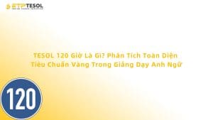 TESOL 120 Giờ Là Gì? Phân Tích Toàn Diện Tiêu Chuẩn Vàng Trong Giảng Dạy Anh Ngữ